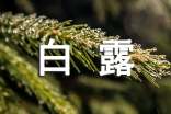 白露节气暖心祝福语