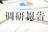调研报告写作指导