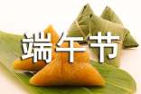 端午节包粽子日记(精选92篇)