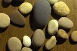 关于写鹅卵石的作文(通用51篇)