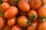 番茄的四种做法