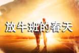 放牛班的春天观后感(精选20篇)