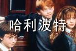 哈利波特读后感(精选20篇)