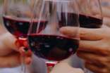 红酒的正确饮用方法有哪些