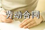 【实用】劳动合同15篇