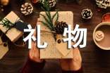 给妈妈的礼物作文(精选22篇)