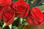 收到的玫瑰花怎么养