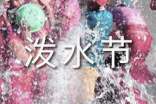 泼水节的作文(通用36篇)
