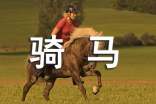 骑马注意事项如何挑马