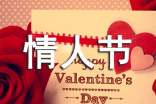 祝情人节快乐的句子