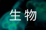 高二上学期生物教学计划(精选11篇)