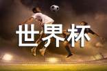 《世界杯》观后感(精选34篇)