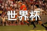 世界杯小作文范文(通用29篇)