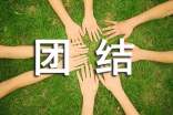 团结一心作文(精选27篇)