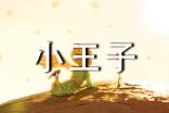 小王子经典好句摘抄及感悟赏析