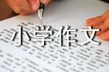 杭州小学作文(精选48篇)