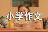 眼睛检查记小学作文(通用30篇)