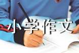 我小学作文(精选32篇)