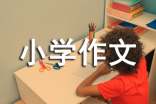 我的水彩笔的小学作文(精选24篇)