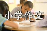 小聪明小学作文(通用29篇)