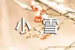 大班社会小雪节气的教案(通用16篇)