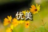 优美句子摘抄
