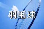 羽毛球赛策划书赞助