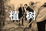 为爱生根大型公益植树活动策划方案(通用13篇)
