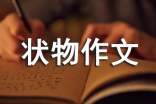 写物的状物作文500字(精选20篇)