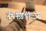 怎样写好状物作文