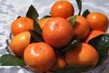 橘子的营养价值功效与作用