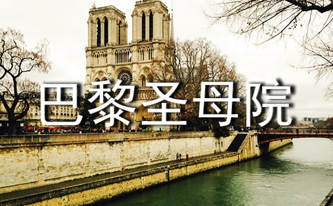 巴黎圣母院读后感(精选)