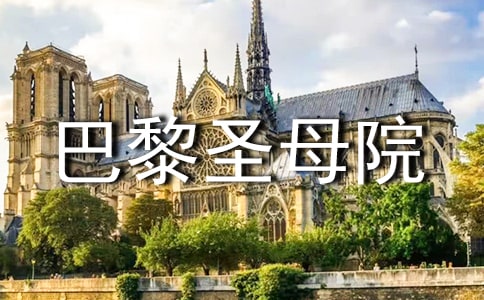 (优秀)巴黎圣母院读后感13篇