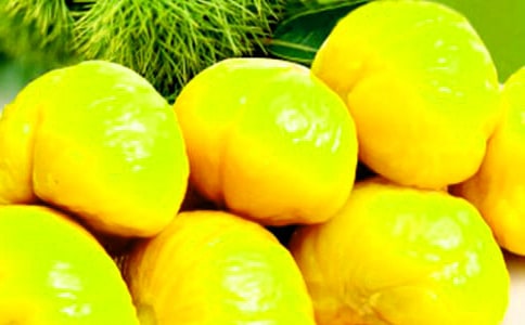 家乡的板栗树作文(通用24篇)