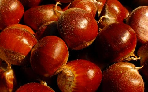 精选板栗作文500字3篇