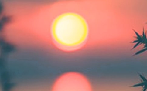 夏天的傍晚小学作文