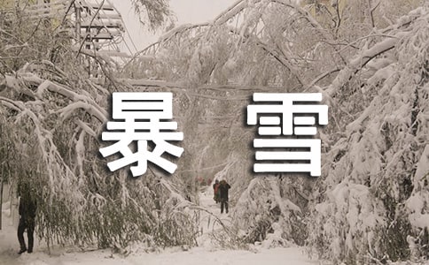冬季暴雪安全应急预案