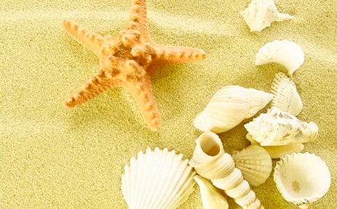 关于贝壳的作文(精选43篇)