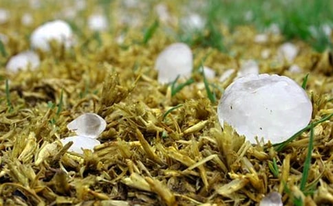 (精)冰雹雨作文