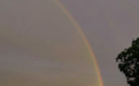 【热】美丽的彩虹作文