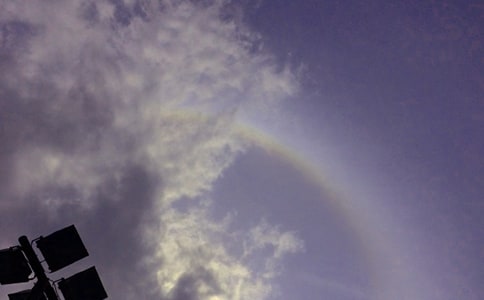 雨后的彩虹作文