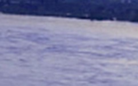 长江七号观后感15篇