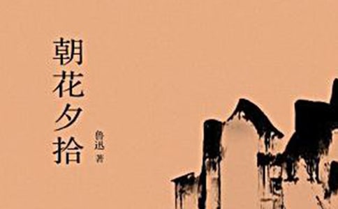 《朝花夕拾》读书笔记(精选25篇)