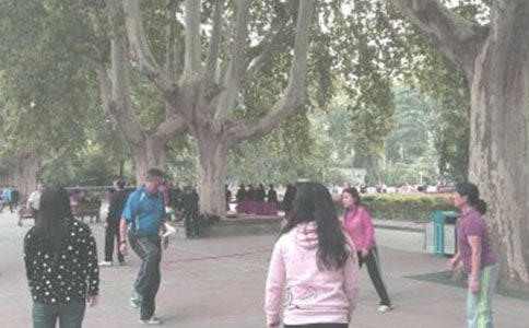 晨练作文600字四篇