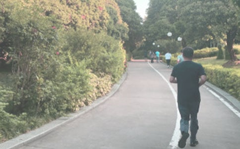 关于晨跑的作文集合15篇