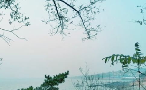 那缕春风让我陶醉作文