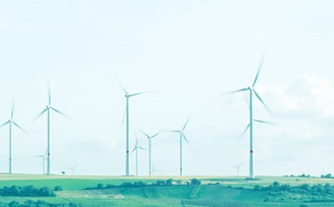 沐浴在这和煦的春风里高中作文1000字