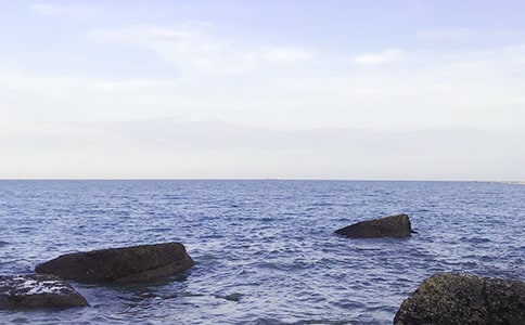 美丽的大海作文(通用15篇)