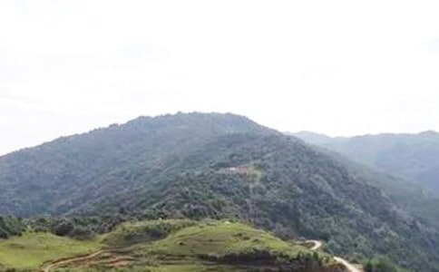 美丽的大山小学作文