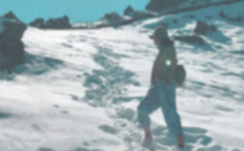 【推荐】登山小学作文合集七篇